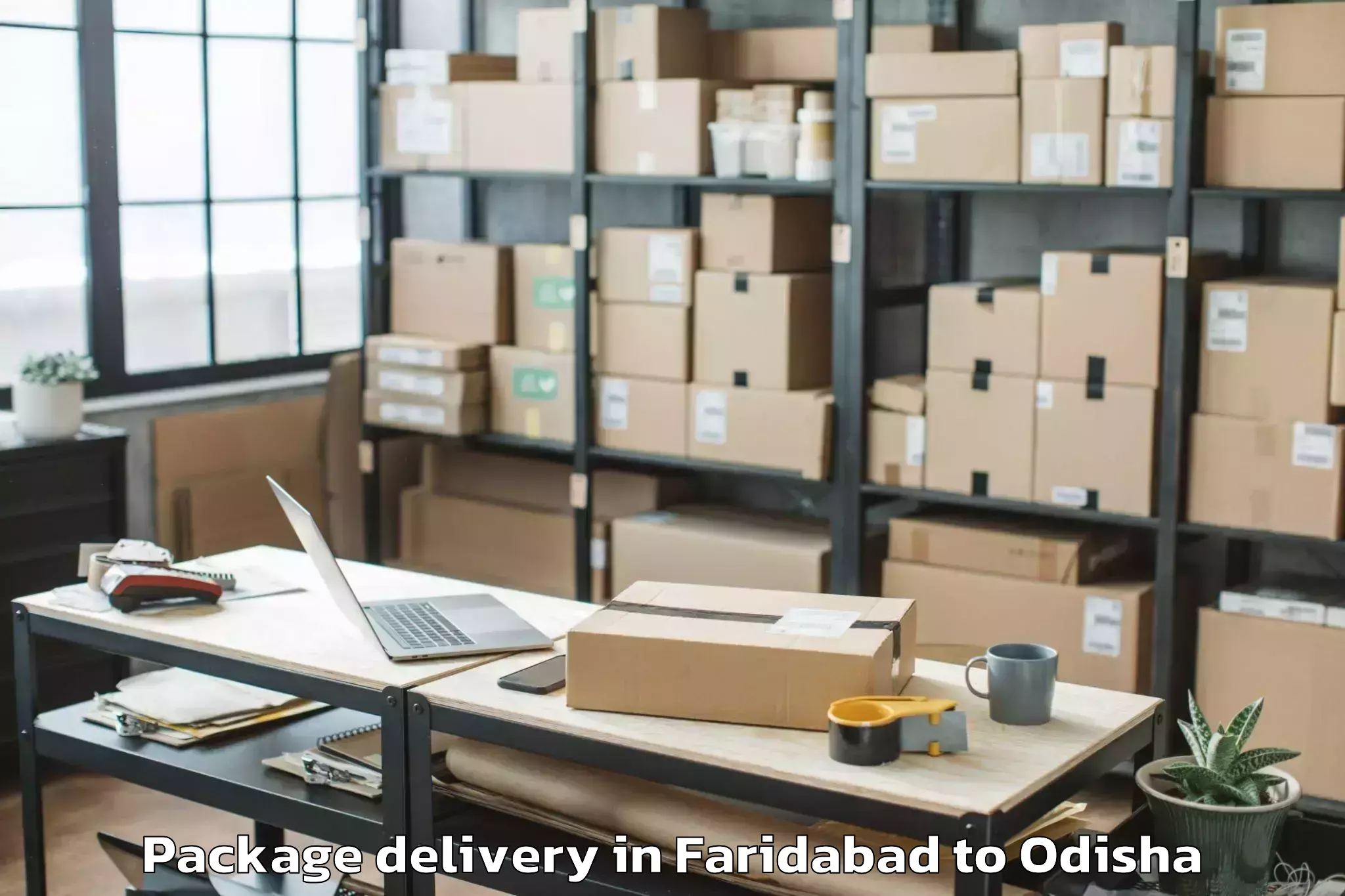 Professional Faridabad to Dasapalla Package Delivery